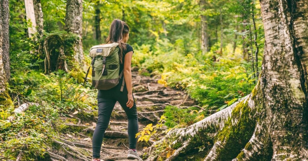 Trekking