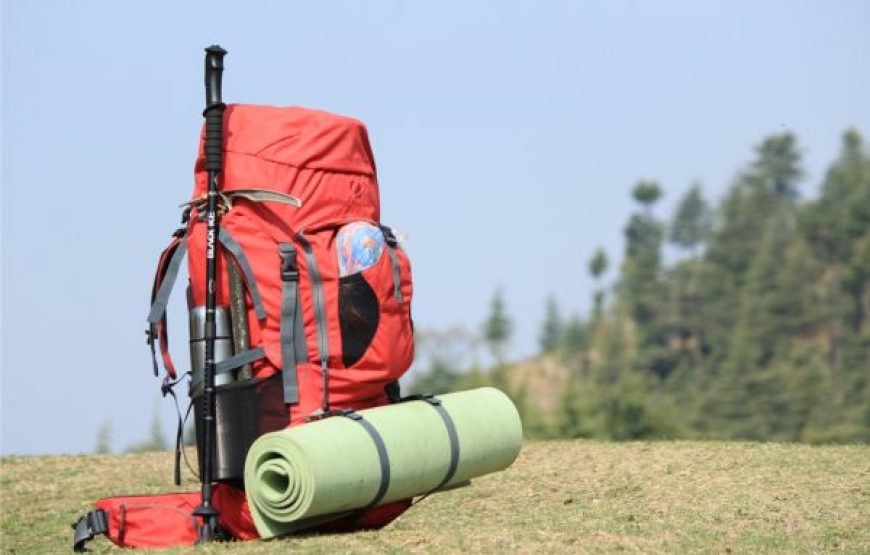 Fairy Meadows Trek  7-Day Adventure to Nanga Parbat Base