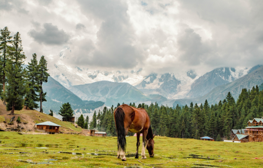 10 Days Hunza & Fairy Meadows Trekking Tour