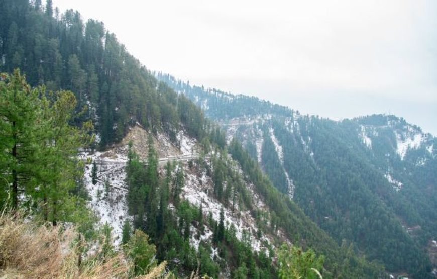 Murree in a Day – Scenic Drive, Mall Road & Patriata Adventure