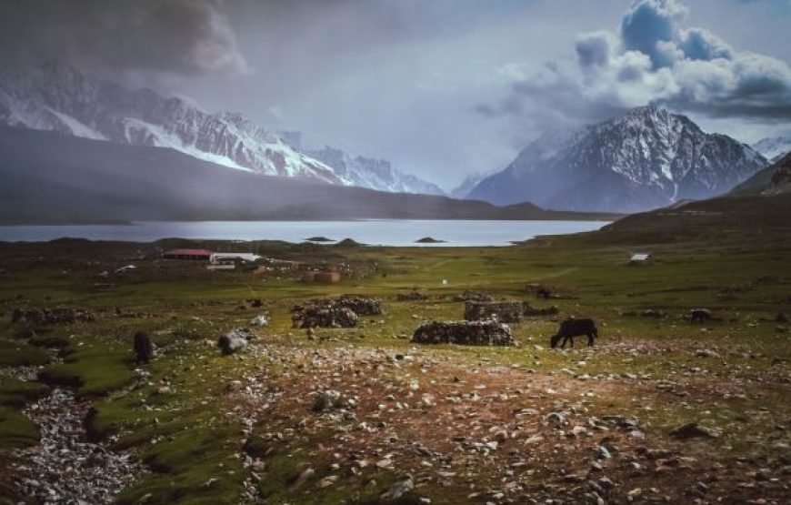 Shandur Polo & Beyond  14 Days Through Kalash, Chitral & Hunza