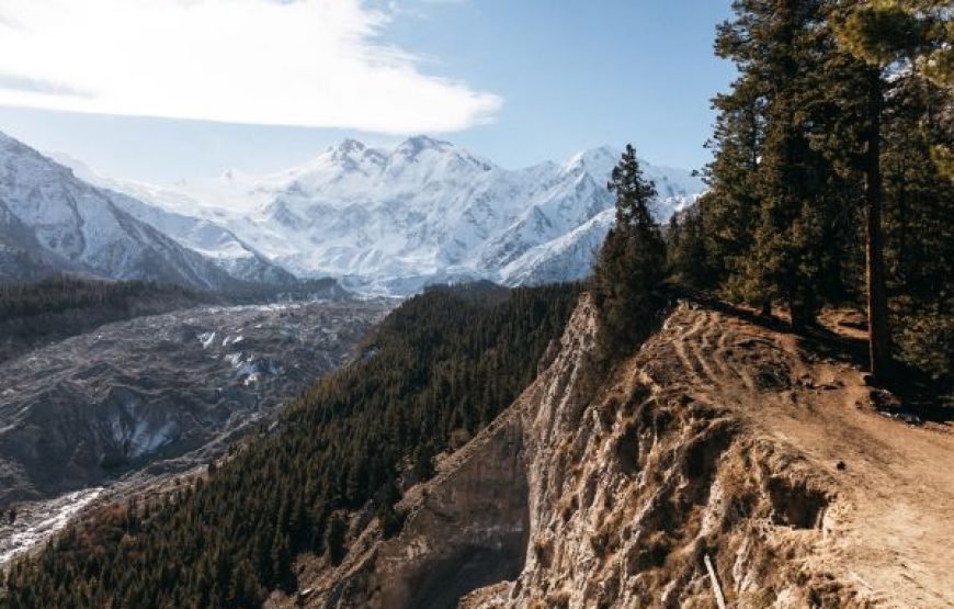Fairy Meadows Trek  7-Day Adventure to Nanga Parbat Base
