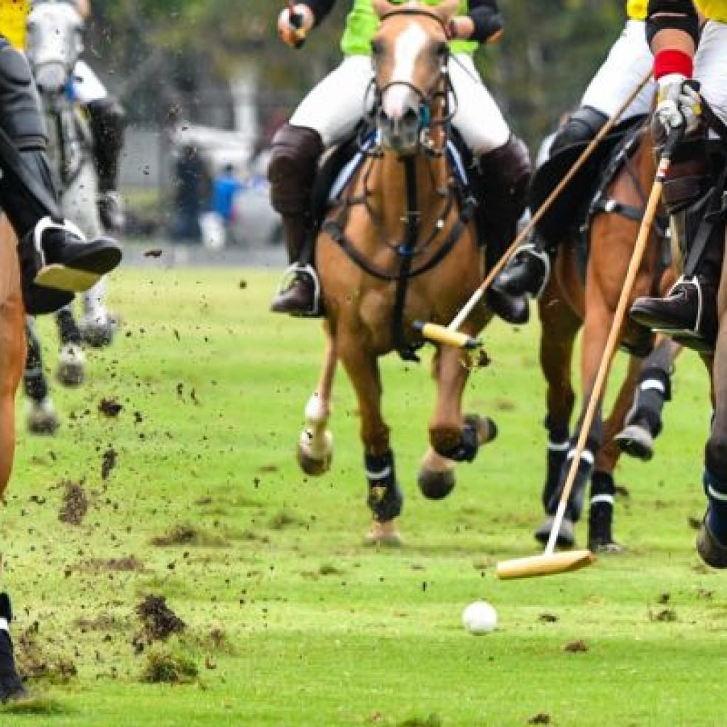Shandur Polo Festival