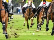 Shandur Polo Festival