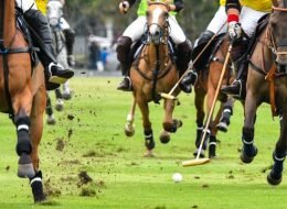 Shandur Polo Festival