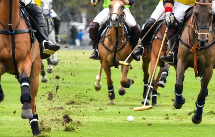 Shandur Polo & Beyond  14 Days Through Kalash, Chitral & Hunza