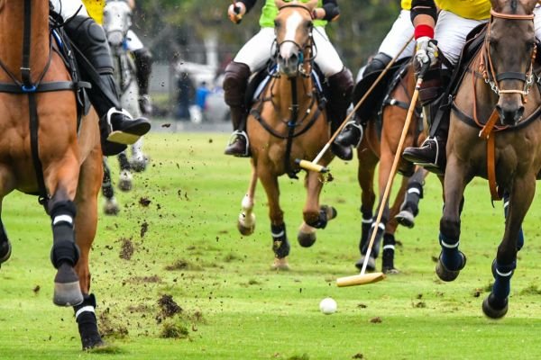 Shandur Polo Festival & Beyond  14 Days Through Kalash, Chitral & Hunza