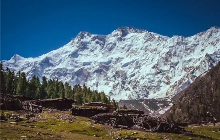 Fairy Meadows Trek  7-Day Adventure to Nanga Parbat Base