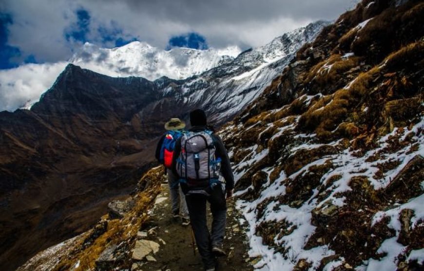 Fairy Meadows Trek  7-Day Adventure to Nanga Parbat Base