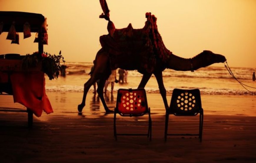 Classic Karachi Day Tour – A Journey Through History & Culture