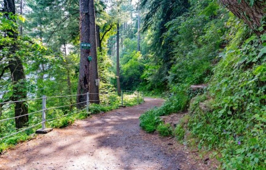 5-Day Nature Escape – Islamabad, Khanpur Lake & Ayubia Tour