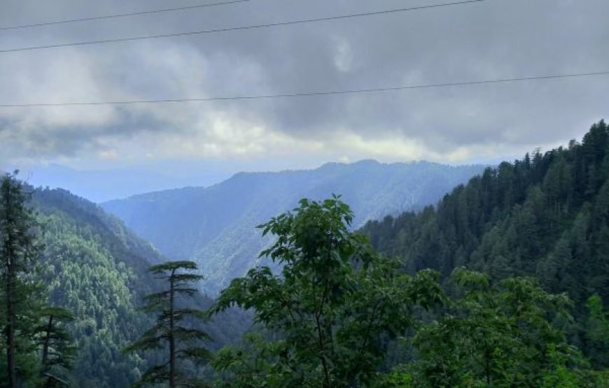 5-Day Nature Escape – Islamabad, Khanpur Lake & Ayubia Tour