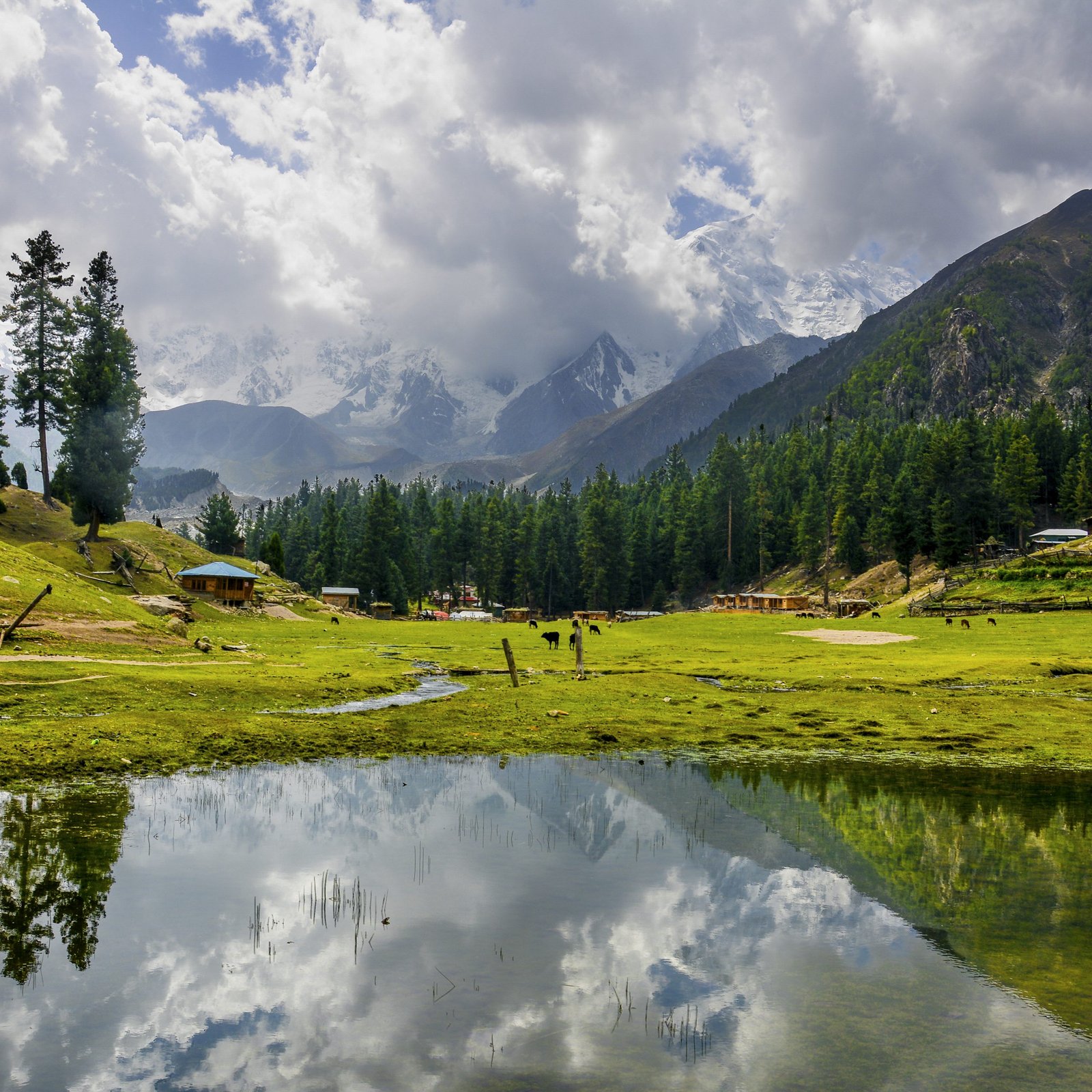Fairy Meadows